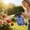 Blue381, variant on Pneumatic Water Sprayer, 4L Capacity, Household Watering and Cleaning Sprayer, Transparent Atomizing Kettle for Efficient Gardening and Home Use