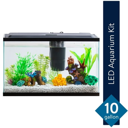 Aqua Culture 10-Gallon Aquarium Starter Kit With LED (Best Fish Tanks In The World)