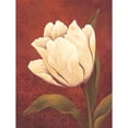 thumbnail image 3 of Belamar, Ella 12x14 Black Modern Framed Museum Art Print Titled - Tulip on Red, 3 of 5