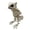 I, variant on OIUR Halloween Animal Skeletons Dog Bat Frog Scorpion Spider Snake Rat Bone Skeletons for Halloween Party Haunted House Graveyard Scene Decoration