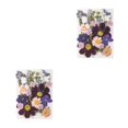 thumbnail image 1 of Naiovety Tipo de adorno de flores prensadas en relieve artístico de flores secas naturales tipo 3 Tipo 1 2piezas, 1 of 6