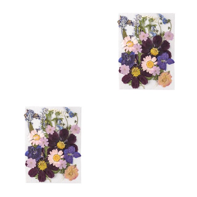 Naiovety Tipo de adorno de flores prensadas en relieve artístico de flores secas naturales tipo 3 Tipo 1 2piezas