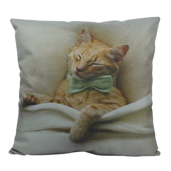 Cat | Cat Paw | Cat Pillow | Cute Cat | Cat Gifts | Cat Decor | Cat Photo | Gifts for Cat Lovers | Accent pillow | Throw Pillow Covers