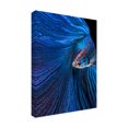thumbnail image 4 of Canvas Wall Art - Andi Halil 'Blue Moon' Wall Art for Living Room, Bedroom, or Office Décor by Trademark Fine Art - 24 x 32 Inches, 4 of 4