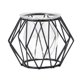 thumbnail image 2 of Jarrón Hidropónico de Vidrio Decorativo Jlh250205002 | Marco de Hierro | Maceta de Vidrio Transparente para Plantas Acuáticas de Hiedra Verde | Decoración Moderna para El Hogar | Decoración para Sala, 2 of 6