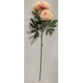 thumbnail image 1 of PEONY FLOWERS BRANCH, 1 of 3
