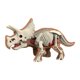 thumbnail image 4 of Modelo realista de cuerpo animal para la enseñanza de la biología animal. 3102, 4 of 9