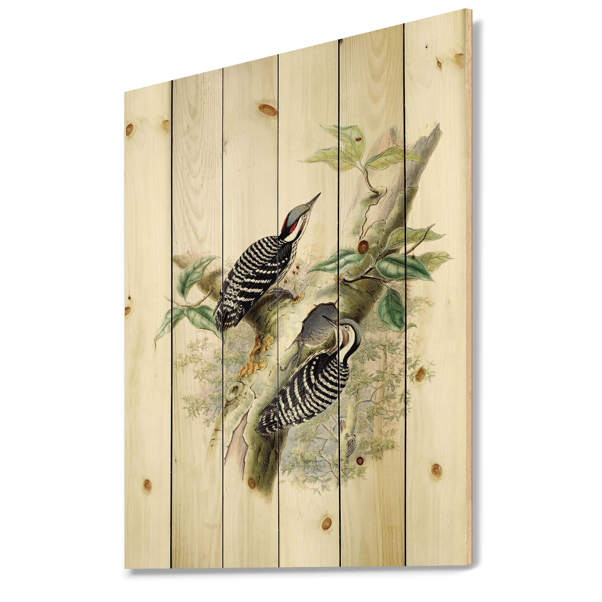 Designart 'Ancient Birds In The Wild V' Traditional Print on Natural Pine Wood