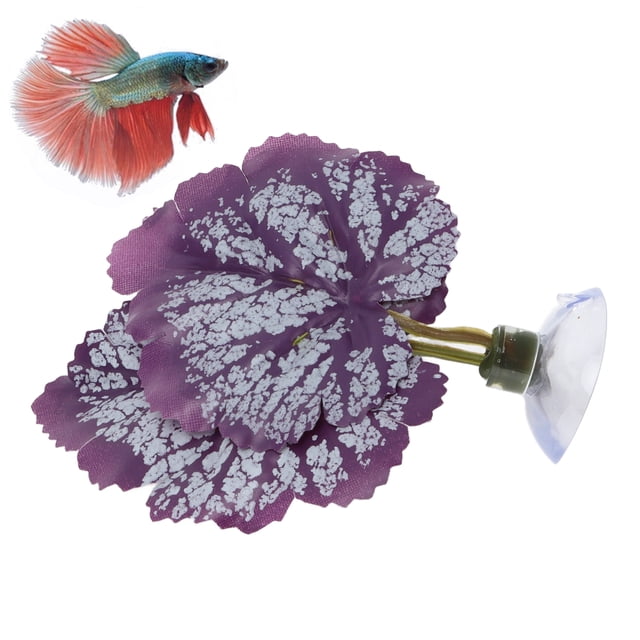 Almohadilla De Hoja De Betta, Cama De Betta Inodoro, Ligera Y Segura Para Decoración De Acuarios De Peceras Para Zonas De Desove De Betta