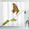 thumbnail image 1 of Ambesonne Swallowtail Shower Curtain, Life's Stages, 69"Wx84"L, Pale Brown Green, 1 of 3