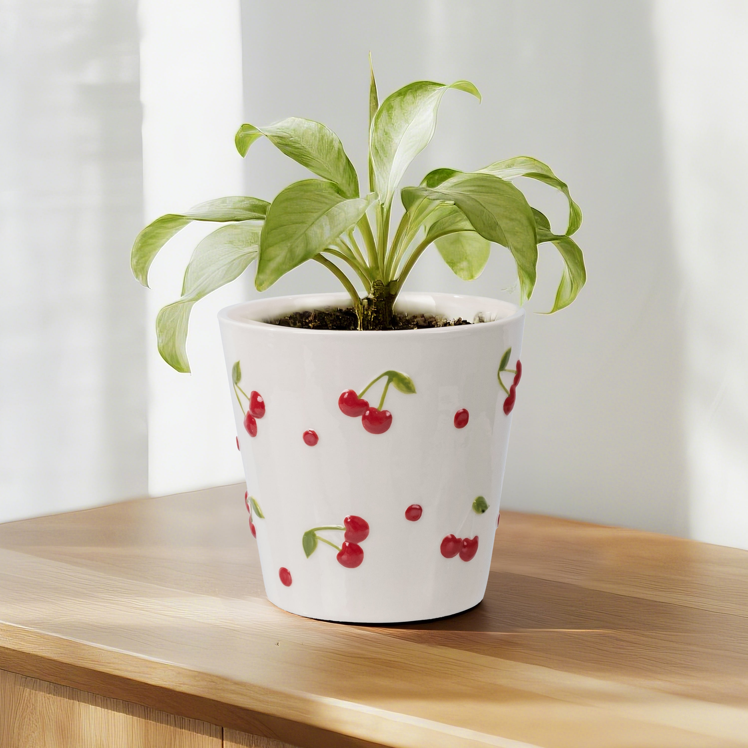 SRLSTRAIGHTTYPE PLANT POT-Lvaliemカタチ製作所 Mainstays 6.25