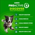 thumbnail image 7 of IAMS Proactive Health High Protein Chicken & Beef Dog Food 5 lb, 7 of 7