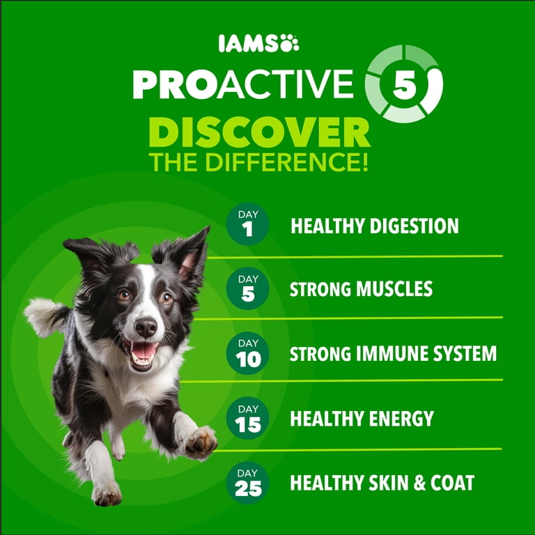 IAMS Proactive Health High Protein Dry Dog Food, Chicken & Beef, 5 lb photo 7