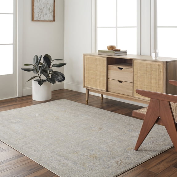 Livabliss Area Rugs for Living Room, 3x7 Avant Garde Traditional Charcoal Runner Rug, Bedroom Dining Room Home Decor Stain Resistant Carpet (2'7" x 7'3" Runner)