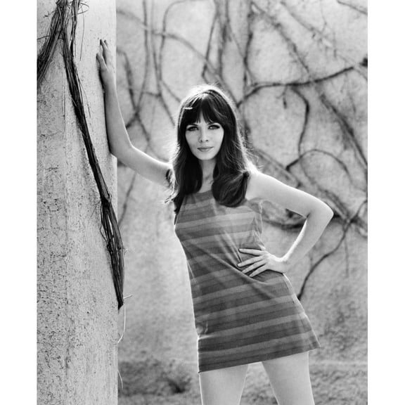 Elsa Martinelli Ca. Late 1960S Photo Print (16 x 20)