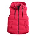 thumbnail image 3 of Jiyugala Women's Overcoat Warm Vest Outerwear Thick Padded Sleeveless Casual Vest With Detachable Hood, 3 of 6