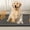 A, variant on JMYHOAM Self Warming Dog Bed, Soft Dog Cats Bed Mat, Super Soft Thermal Dog Crate Bed Mat for Sleeping, Washable Self Heating Pet Kennel Pad for Small Medium Cats Dogs Indoor Outdoor (Size M)