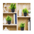 thumbnail image 5 of 4 Macetas Plantas Artificiales Macetas Decorativas Bonsai  base Lab.G Negro, 5 of 5