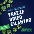 thumbnail image 3 of Litehouse® Cilantro Freeze Dried Herbs 0.35 oz. Jar, 3 of 6