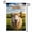 A, variant on XaaKee Yard Flags, Welcoming Artwork Goat Spring Garden Flag, Double-Sided High-Quality White Linen Garden Flag, Funny Farm Portrait Lawn Decor, 12x18Inch