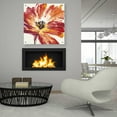 thumbnail image 6 of Epic Art 'Fleur Rouge I' by Tim O'Toole, Acrylic Glass Wall Art, 36"x36", 6 of 6