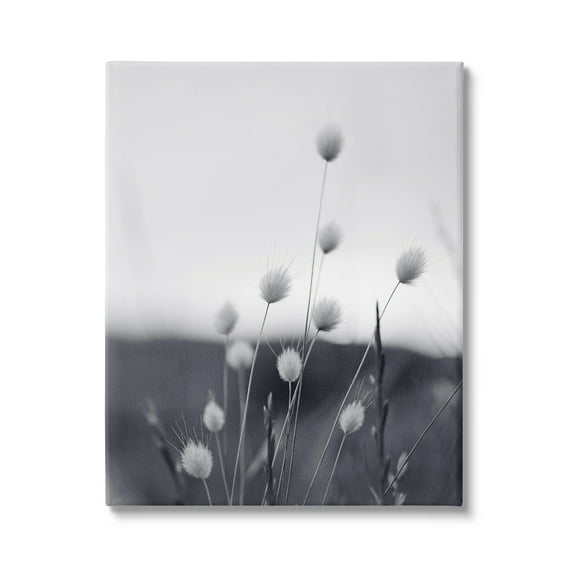 Stupell Industries Country Botanicals Photography Botanical & Floral Photography Gallery Wrapped Canvas Print Wall Art, 16 x 20