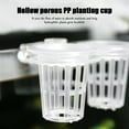 Kinaerty Aquarium Plant Holder WallMounted Hydroponic Plant Basket
