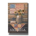 thumbnail image 1 of Epic Graffiti 'Rustic America' by Pam Britton, Canvas Wall Art, 12"x18", 1 of 2