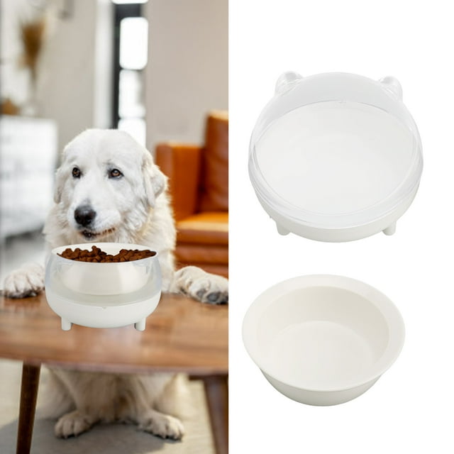 Bol de Nourriture pour Chat Bol d'Alimentation pour Chat Bols Inclinés en Céramique Surélevée Bol de Nourriture pour Animaux avec Support pour Chatons Chiots