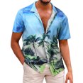 thumbnail image 1 of Camisa de playa de manga corta hawaiana para hombre, camisas informales con botones de verano estampadas Pompotops oipoqjl44845, 1 of 6