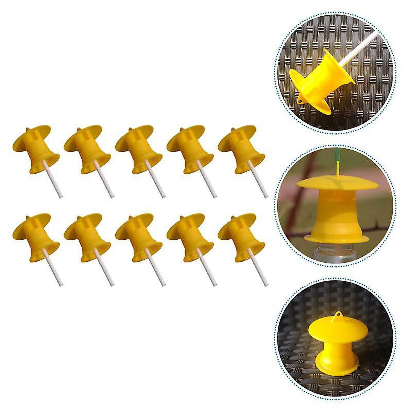 10pcs Fruit Fly Traps