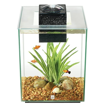 Fluval 5-Gallon CHI II Aquarium Set