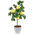 thumbnail image 2 of Northlight Artificial Potted Mini Lemon Tabletop Tree - 20", 2 of 6