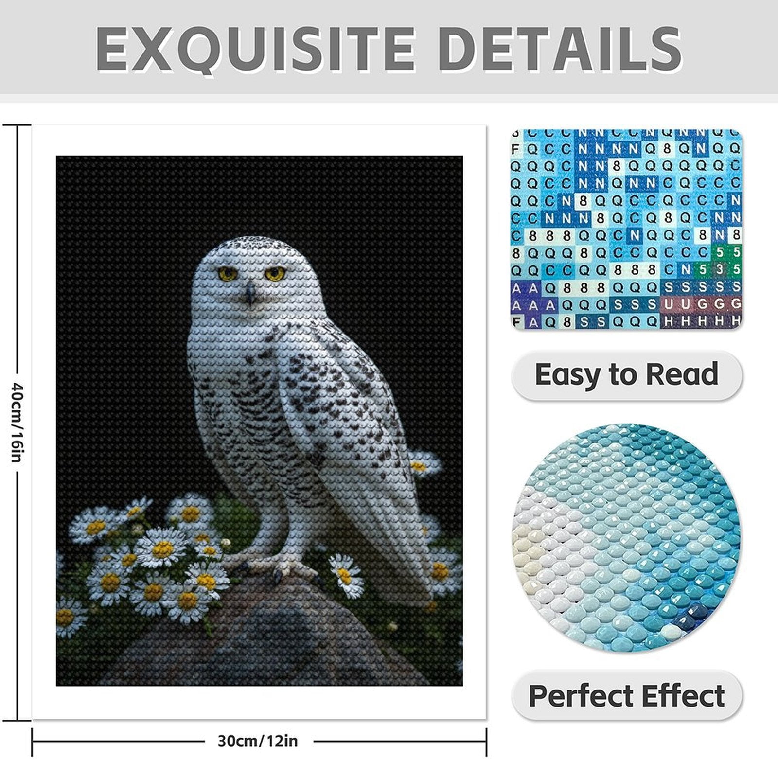 Diamond Art Kits for Adults - 5d Snowy Owl On Rock With Daisies Diamond Painting for Adults, Diamond Art for Adults Beginners, Diamond Painting Kits for Adults for Home Wall Decor