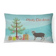 Carolines Treasures CK4645PW1216 Lykoi 1 Cat Merry Christmas Canvas Fabric Decorative Pillow, 12H x16W, multicolor