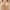 Beige, variant on TAGOLD Summer Savings Clearance 2024! for Womens Plus Size Bra,Woman's Printing Gathered Together Large Size Daily Bra Underwear No Rims
