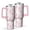 Doodle Poodle Image, variant on OBREWU Doodle Poodle Image Tumbler with Handle and Lid,Doodle Poodle Image 40oz Double Wall Vacuum Insulated Tumbler,Cups Gift for Women and Men