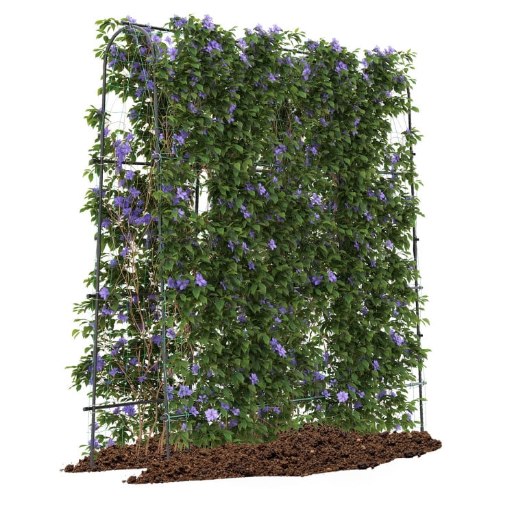 Canddidliike 71 x 71 Inch U-Shaped Tall Garden Arched Trellis for Climbing Plants, Large Size and U-Shaped Design, Plant Supports for Outdoor, Black