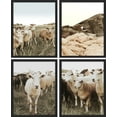thumbnail image 2 of PixonSign Framed Wall Art Pastoral Sheep Lamb Prints, Set of 4 Countryside Farm Animals Photography Wall Decors, Nature Wall Décor, Adhesive Canvas Poster, Modern Home Artwork - 8"x10" Black, 2 of 5