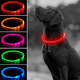 thumbnail image 5 of Collar de perro LED-Collar de perro con luz recargable por USB que brilla en la oscuridad,, 5 of 5