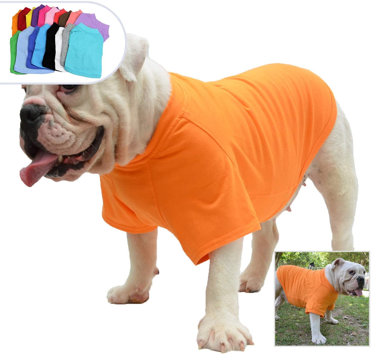 Bulldog Clothes Dog Clothing Blank TShirt Tee Shirts for French