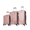 Rose Gold, variant on TUCCI Italy Volaro Unisex Adult 3-Piece Hardside Spinner Luggage Set, Lightweight (20/24/28") - Silver