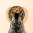 thumbnail image 3 of Labymos Cuenco de cerámica para gatos Protector, 3 of 5