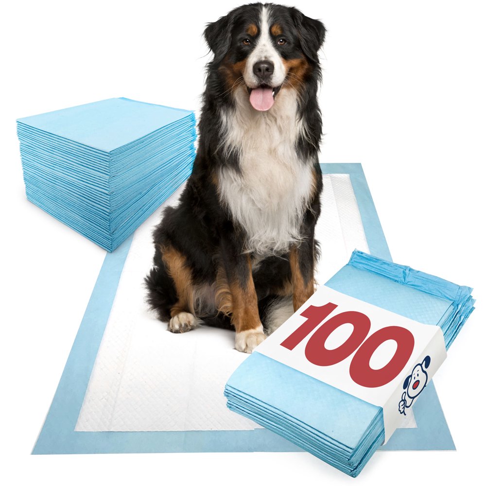 ValuePad Puppy Pads, Extra Large 28x36 Inch, 100 Count