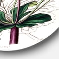 thumbnail image 3 of Designart 'Ancient Plant Life XXI' Traditional Circle Metal Wall Art 29x29 - Disc of 29, 3 of 5