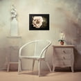 thumbnail image 4 of Perry, Rachel 14x12 Black Modern Framed Museum Art Print Titled - Golden Era Peony I, 4 of 5