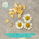 thumbnail image 4 of Hidratante facial Aveeno Calm + Restore Avena Gel 15 ml, 4 of 9