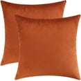 thumbnail image 1 of Juego de 2 fundas de almohada decorativas rectangulares de terciopelo acogedor para sofá y cama, 12 x 20 pulgadas Vhermosa CZJJ-ZC6-3, 1 of 5