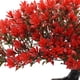 thumbnail image 2 of Plantas artificiales Bonsái Tree Faux Pine Yuarrent Verde, 2 of 6