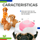 thumbnail image 3 of Cepillo Masajeador De Silicona Con Dispensador De Shampoo Para Mascotas  Xtellar rosa, 3 of 4